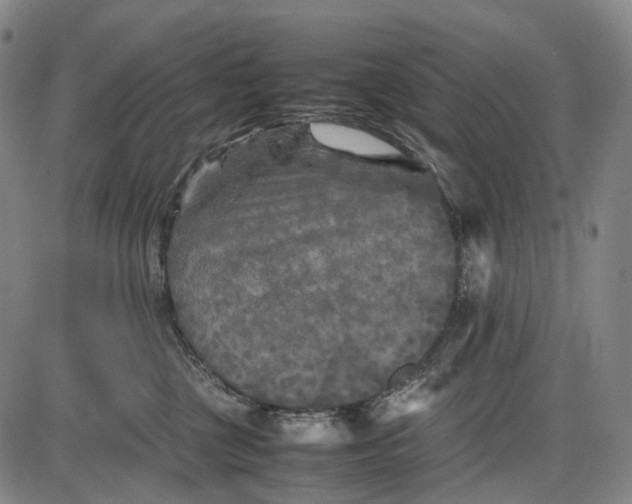 X0000085830377200703301625