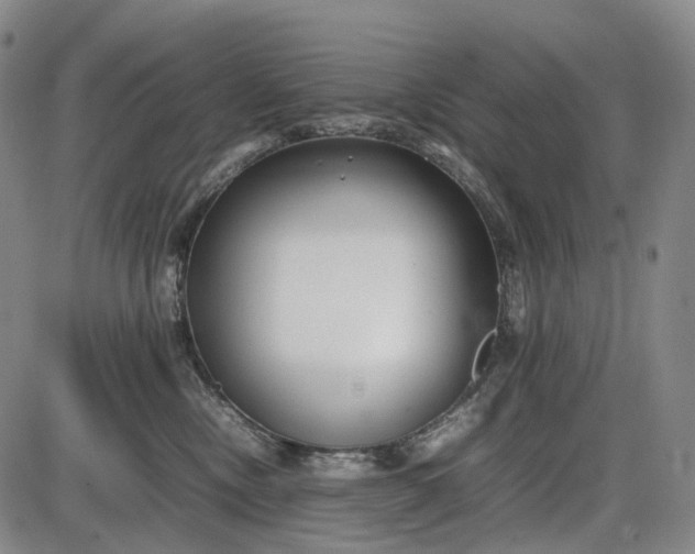 X0000085830378200703301625