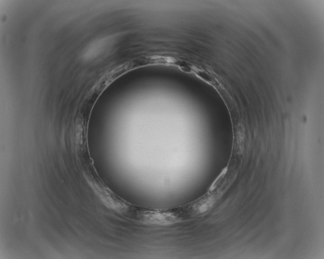 X0000085830379200703301625