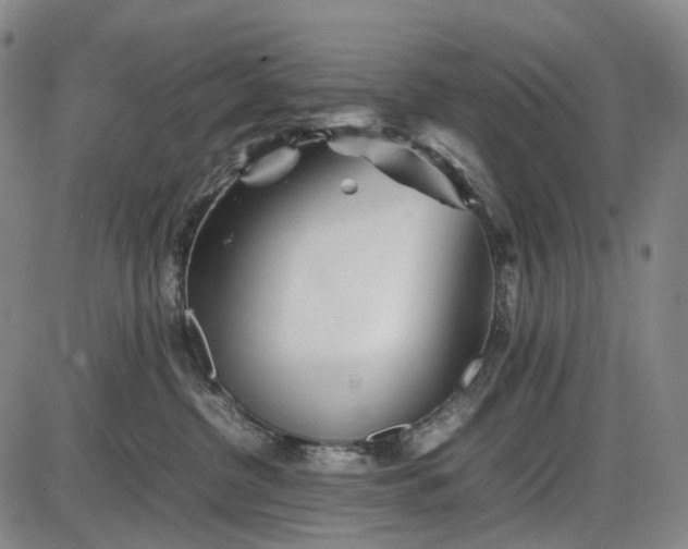 X0000085830380200703301625