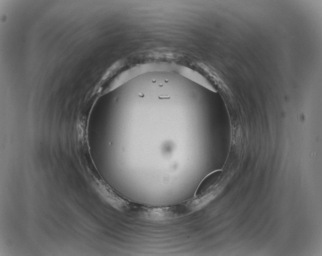 X0000085830382200703301625