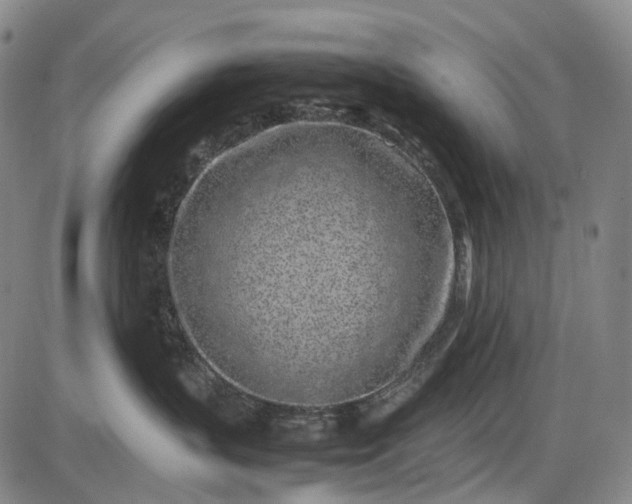 X0000085830383200703301625