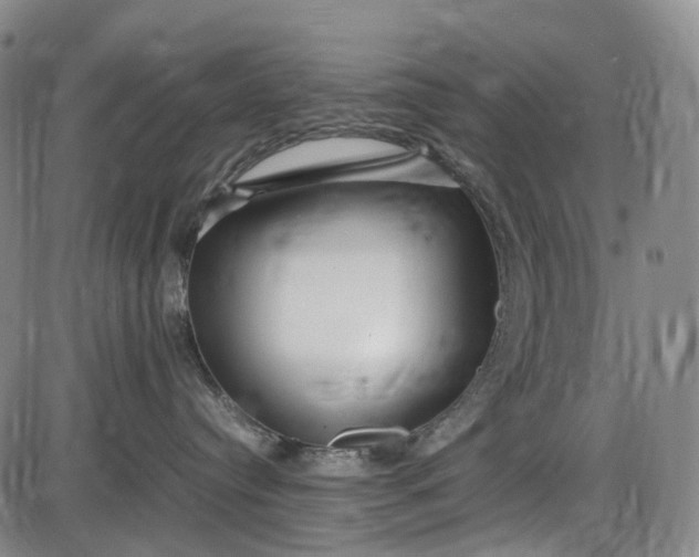 X0000085830384200703301625