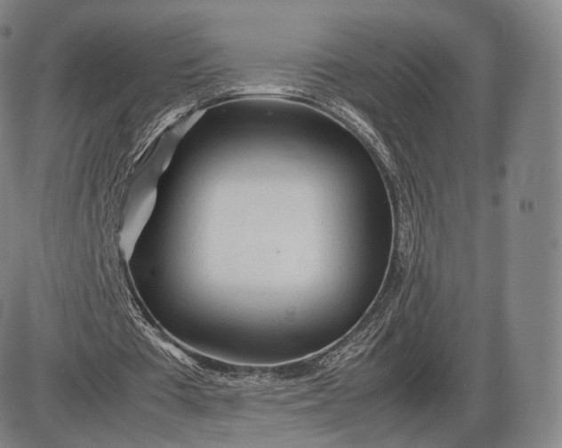 X0000085830385200703301625