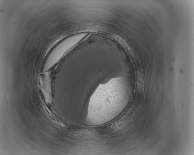 X0000085830386200703301625