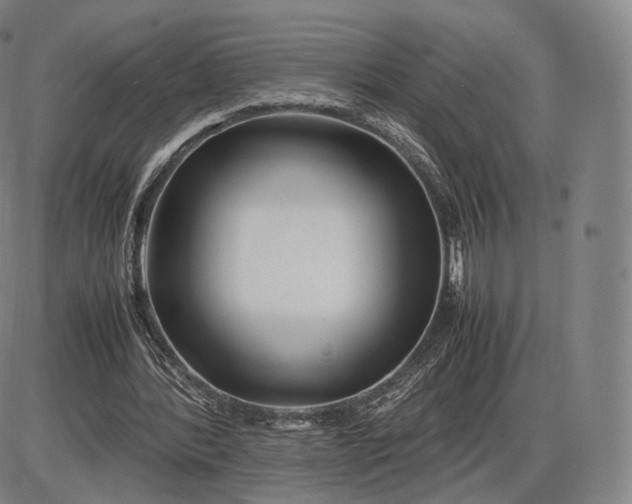 X0000085830388200703301625