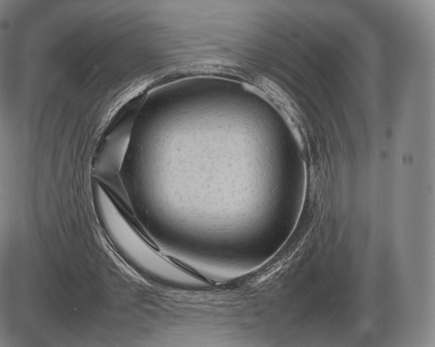 X0000085830389200703301625