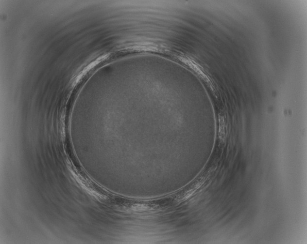 X0000085830390200703301625