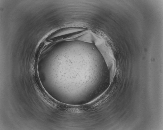 X0000085830392200703301625