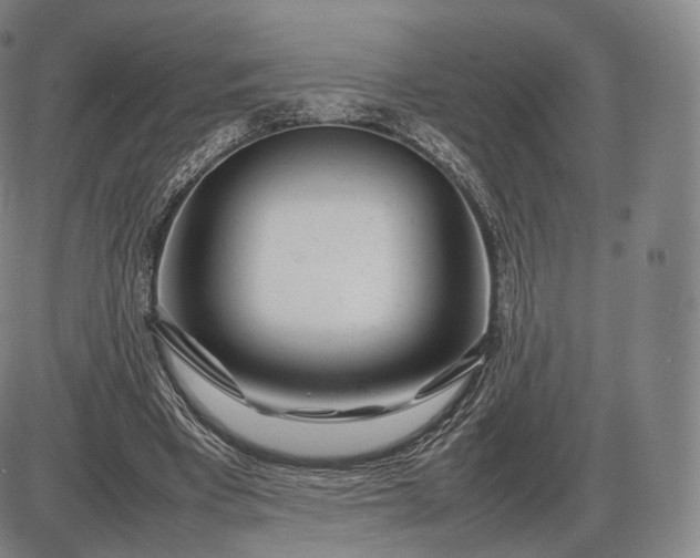 X0000085830393200703301625