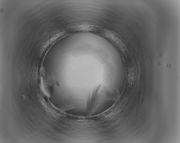 X0000085830394200703301625