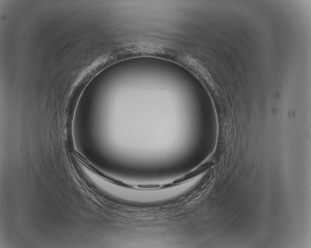 X0000085830395200703301625