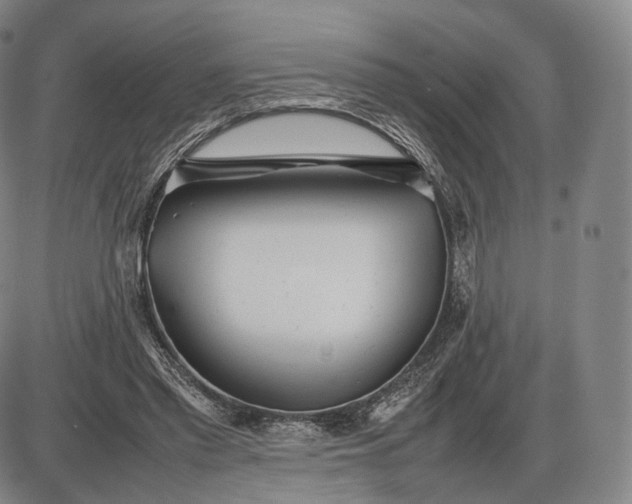 X0000085830397200703301624