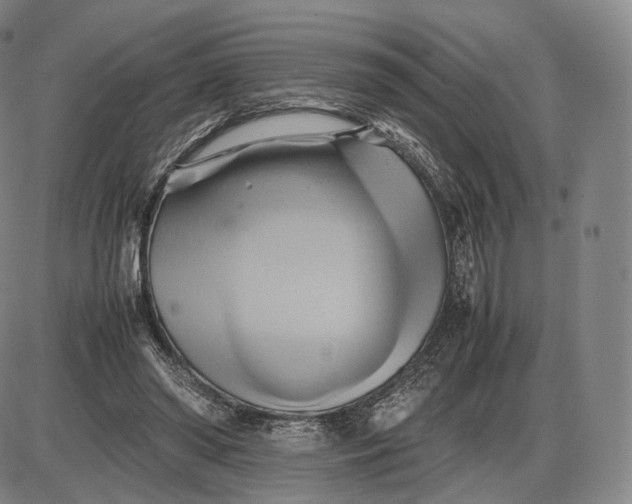 X0000085830398200703301624