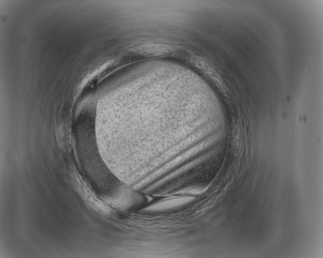 X0000085830399200703301624