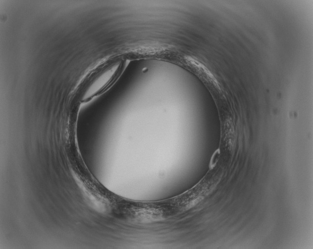 X0000085830400200703301624