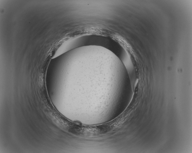 X0000085830401200703301624