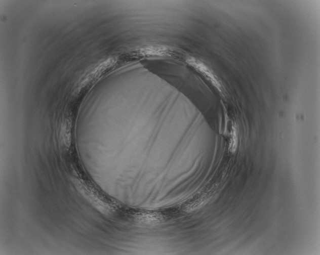 X0000085830402200703301624