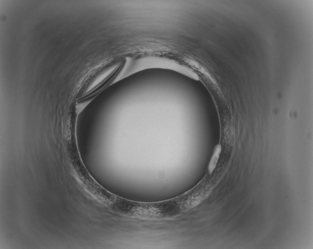 X0000085830403200703301624