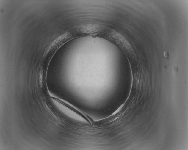 X0000085830404200703301624