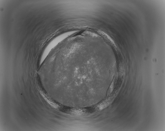 X0000085830405200703301624