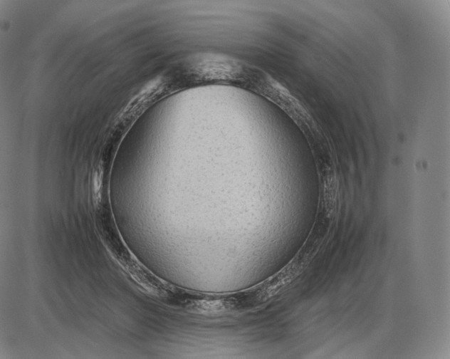 X0000085830406200703301624