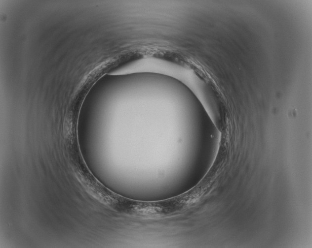 X0000085830407200703301624