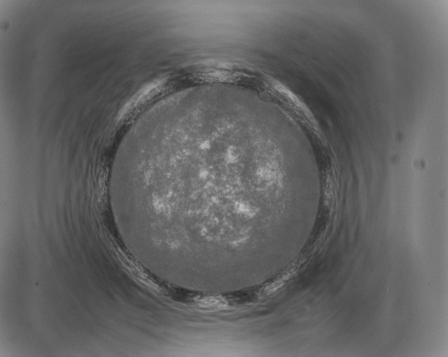 X0000085830409200703301624