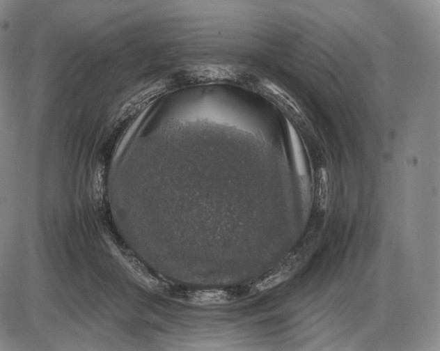 X0000085830410200703301624