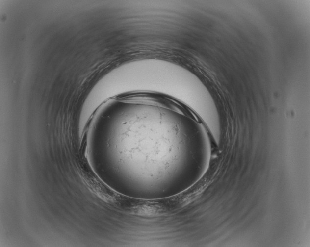 X0000085830412200703301624