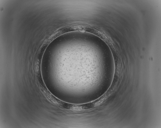 X0000085830413200703301624