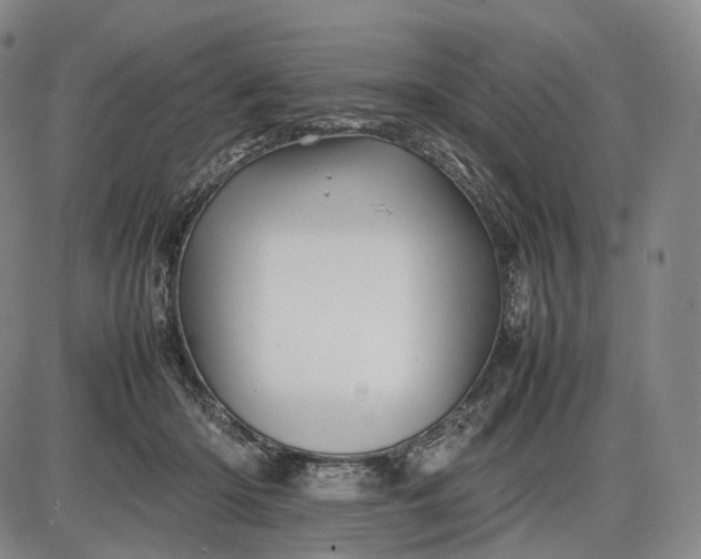 X0000085830414200703301624