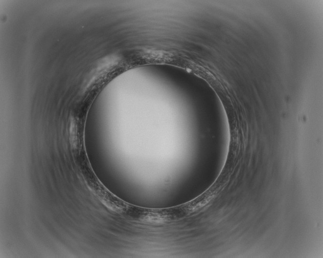 X0000085830416200703301624