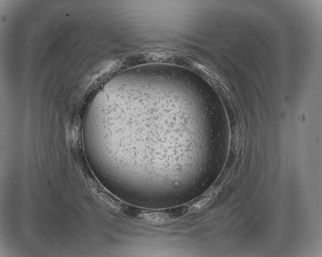 X0000085830417200703301624