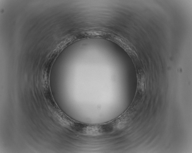 X0000085830418200703301624