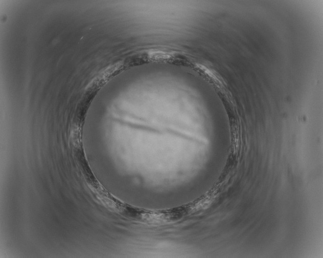 X0000085830419200703301624