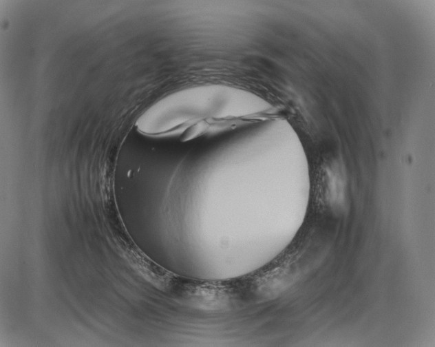 X0000085830420200703301624