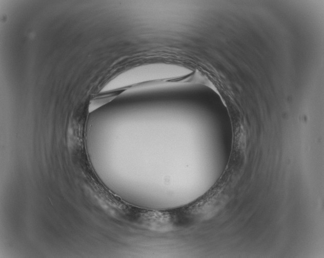 X0000085830421200703301624