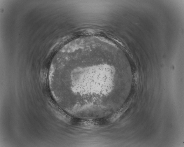 X0000085830423200703301624