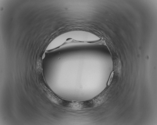 X0000085830425200703301624