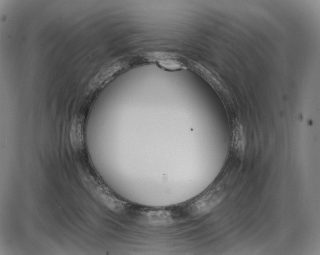 X0000085830426200703301624