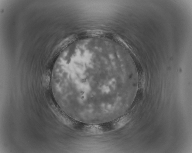 X0000085830427200703301624