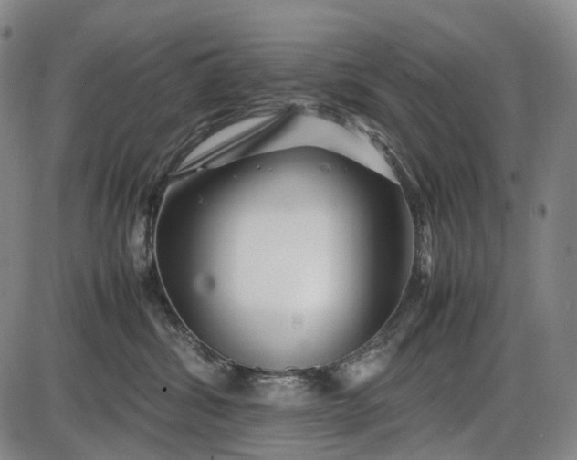 X0000085830428200703301624