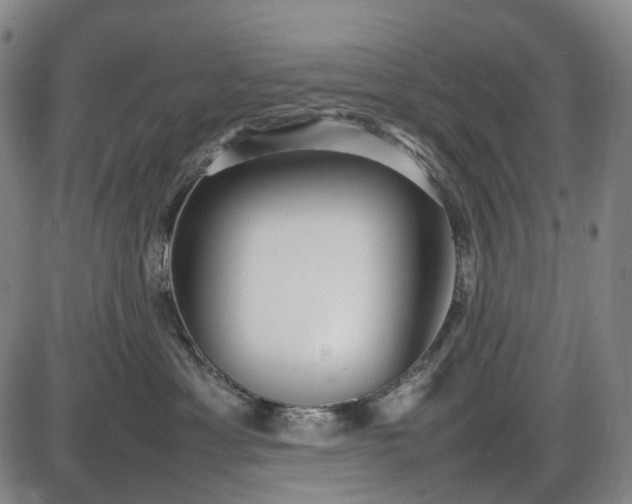 X0000085830429200703301624