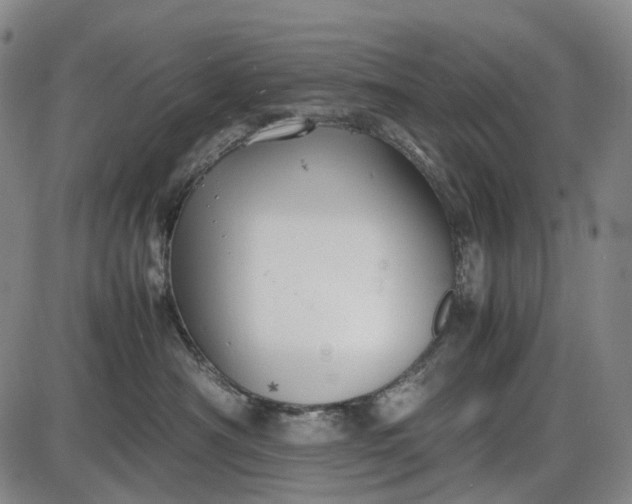 X0000085830430200703301624