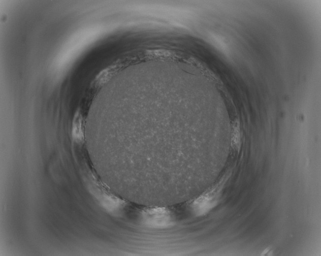 X0000085830431200703301624