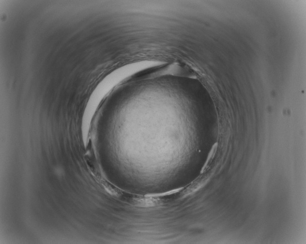 X0000085830432200703301624