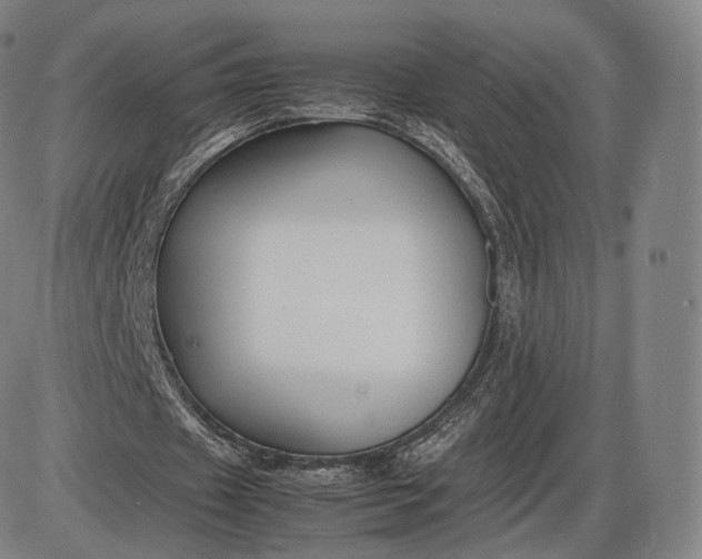 X0000085830433200703301623