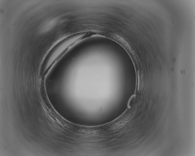 X0000085830435200703301623