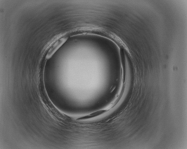 X0000085830436200703301623